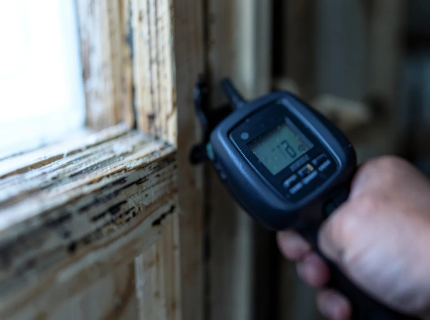 Moisture Inspection And Documentation in Harleyville, SC